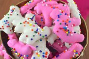 homemade-circus-animal-cookies-3