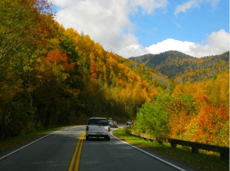 Screen Shot 2019-10-19 at 11.32.20 AM